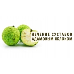 Маклюра-Целебные гели и бальзамы