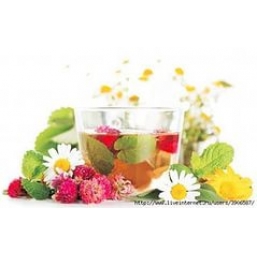 Пятигорские Фиточаи